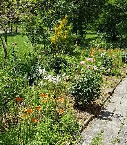 Florata 布尔加斯