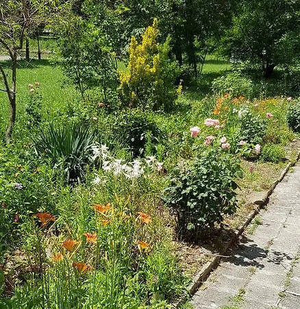 Florata Μπουργκάς